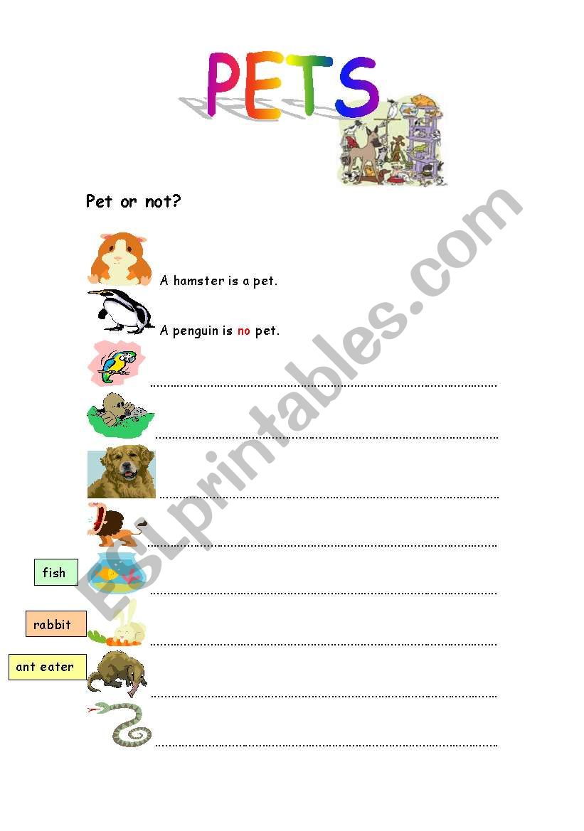 PETS worksheet