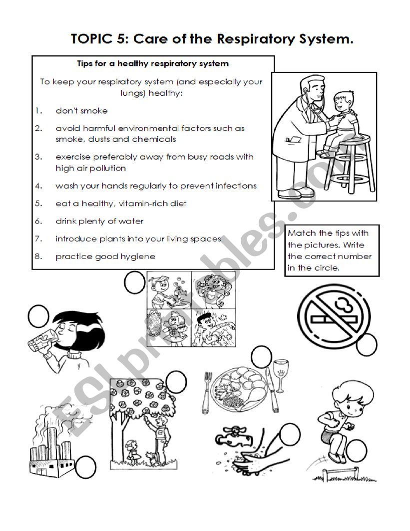 Respiratory System Care  worksheet