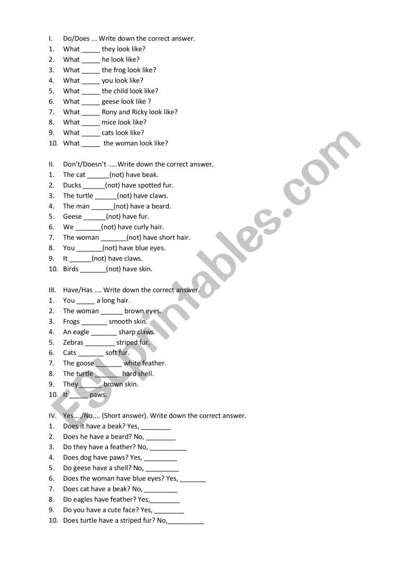 Simple Present worksheet