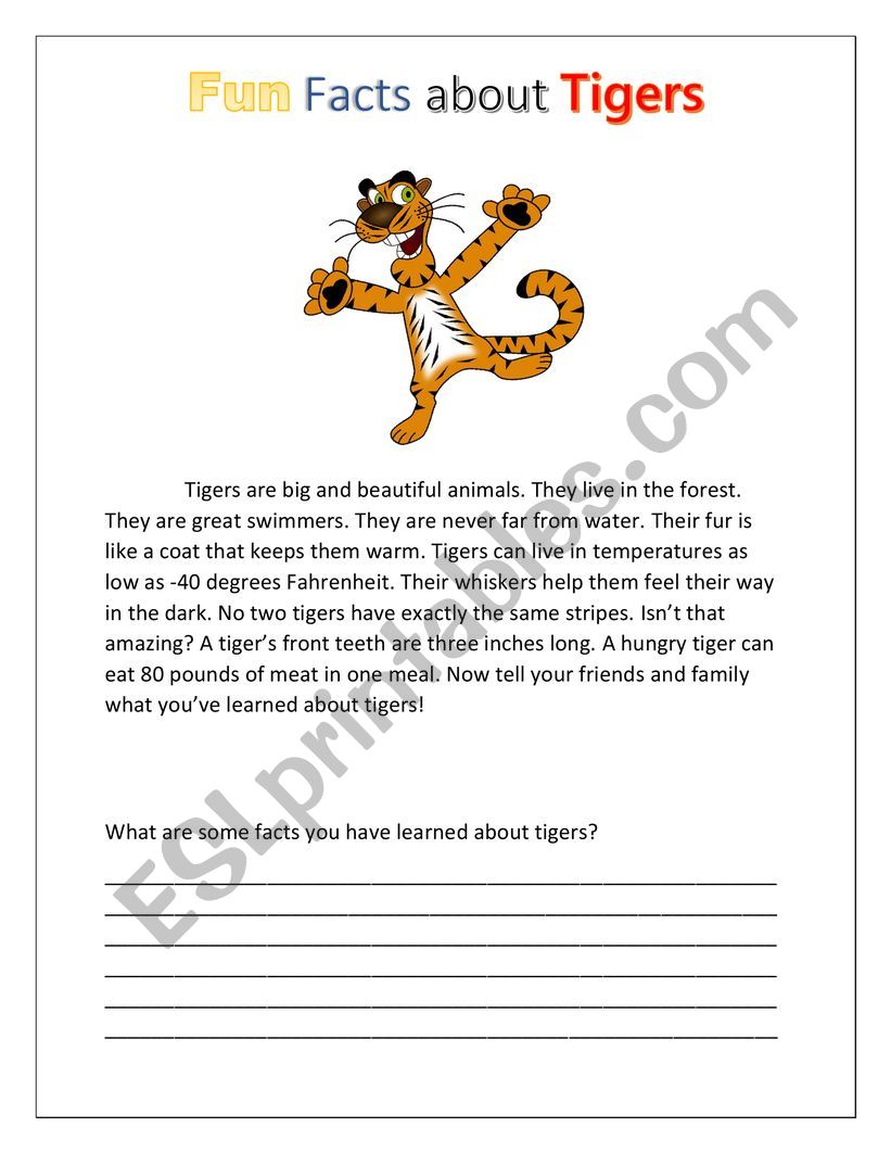 Fun Facts about Tigers worksheet