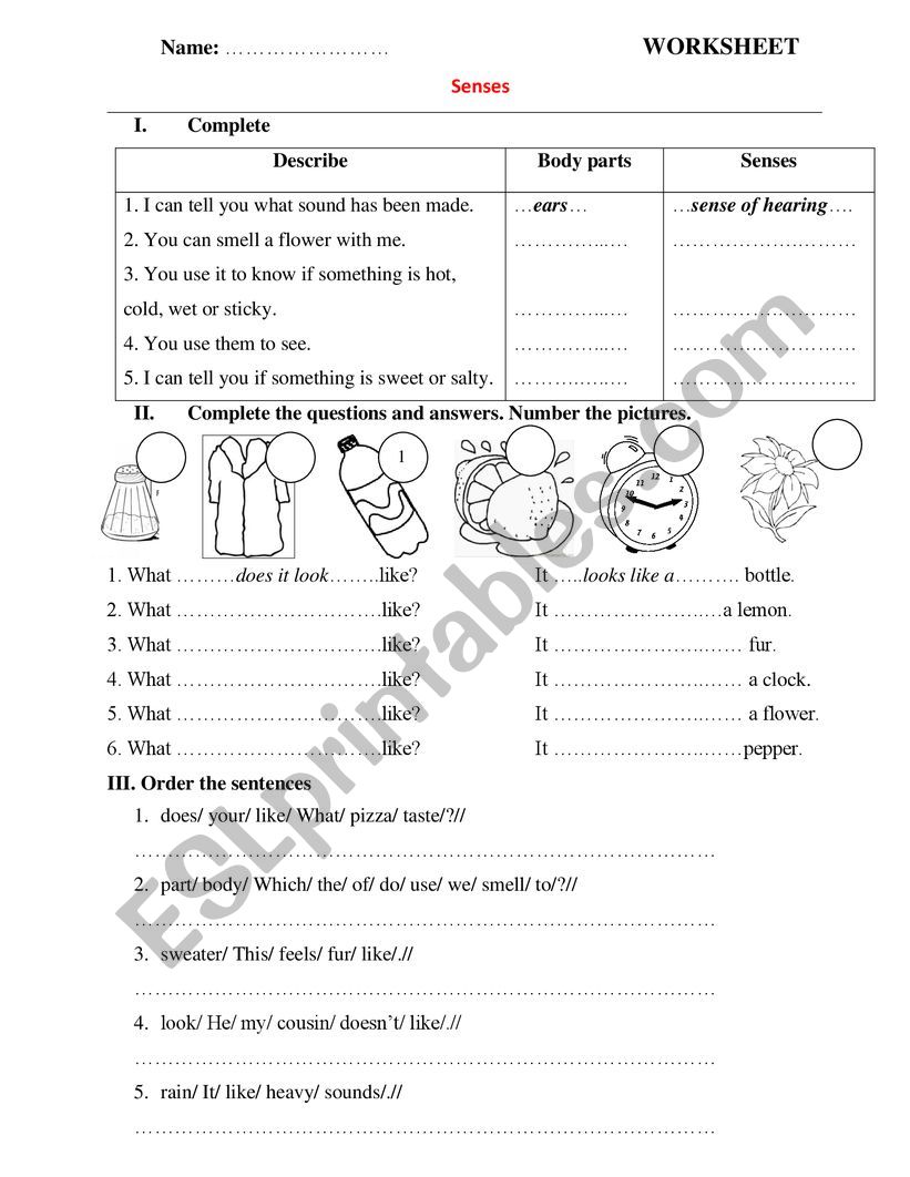Senses worksheet