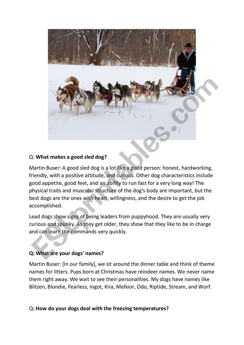 Sled dogs worksheet