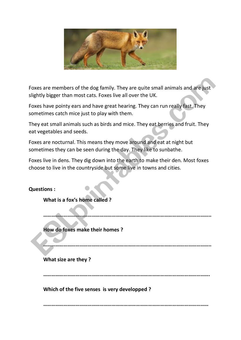 Foxes worksheet