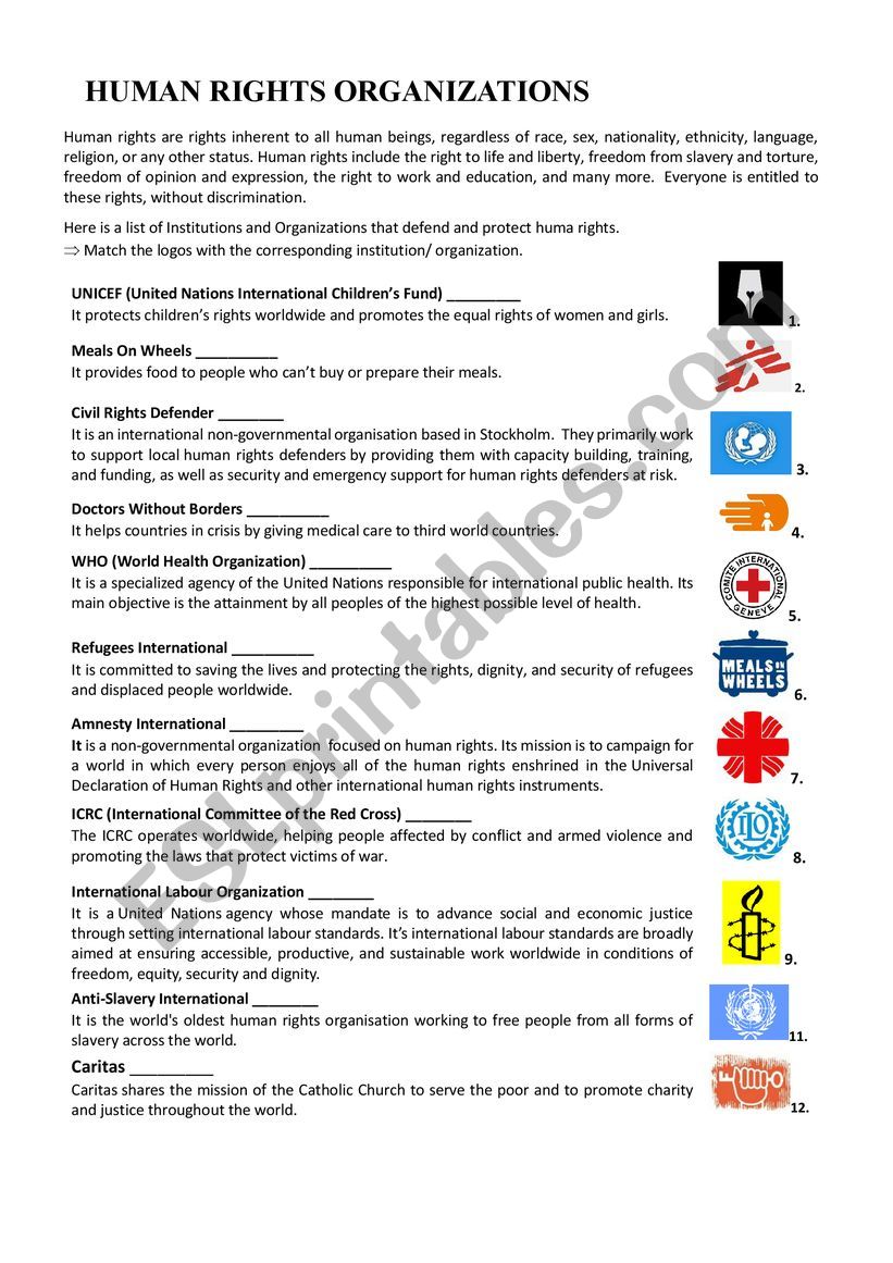 Human Rights Organizations worksheet