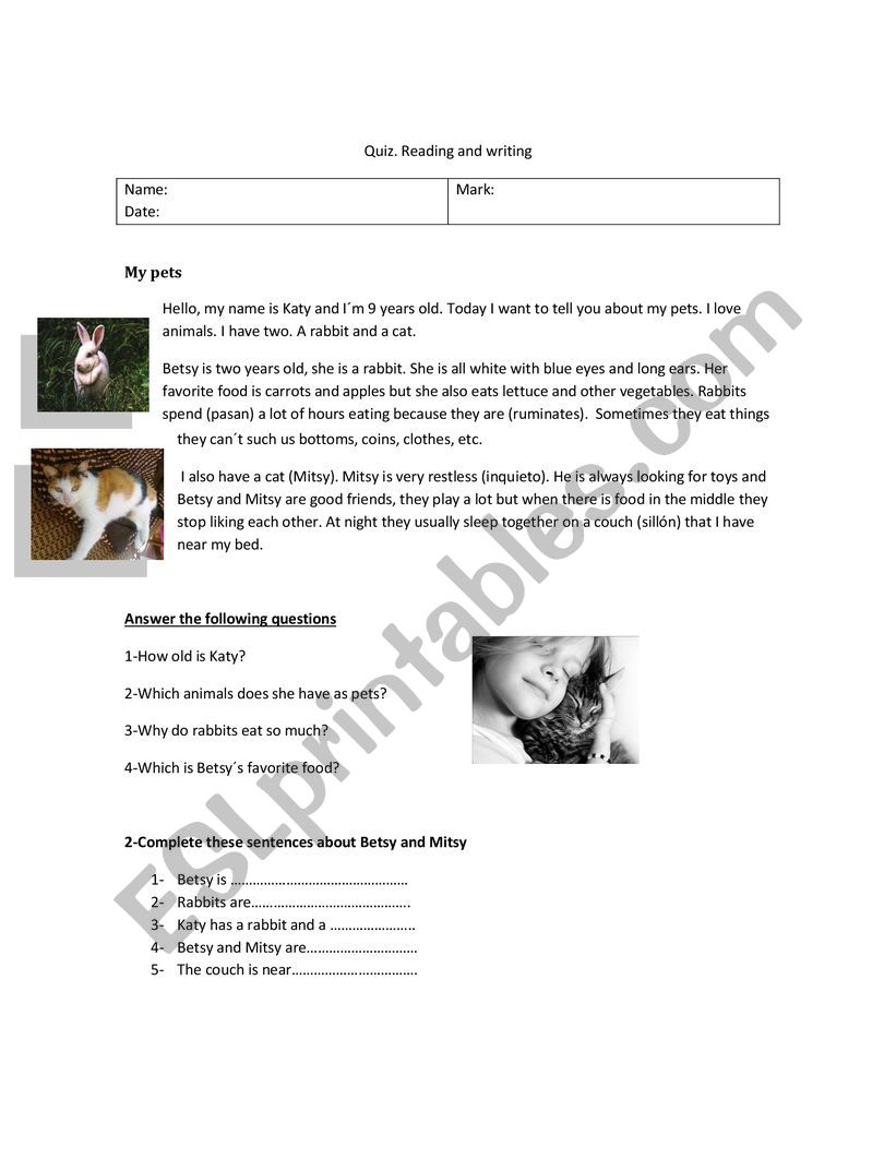 my pets worksheet