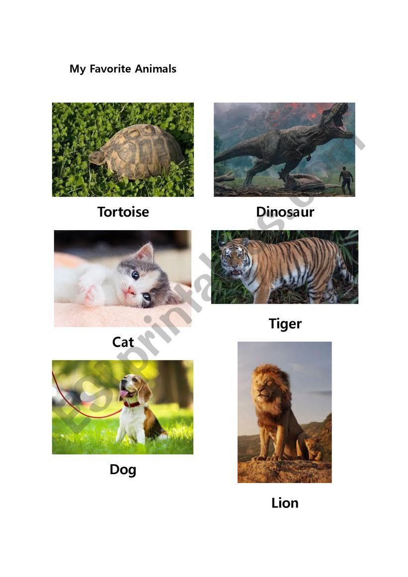 My Favorite Animals worksheet