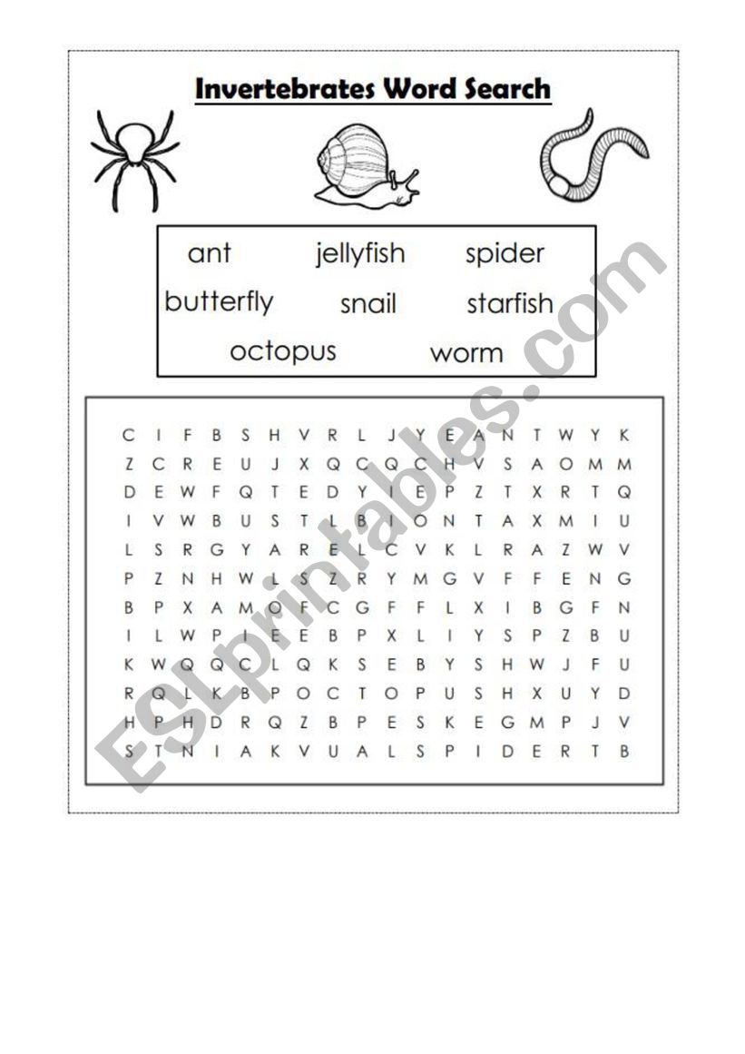 Invertebrates worksheet