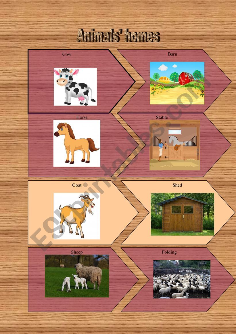 animals� homes: flashcards worksheet