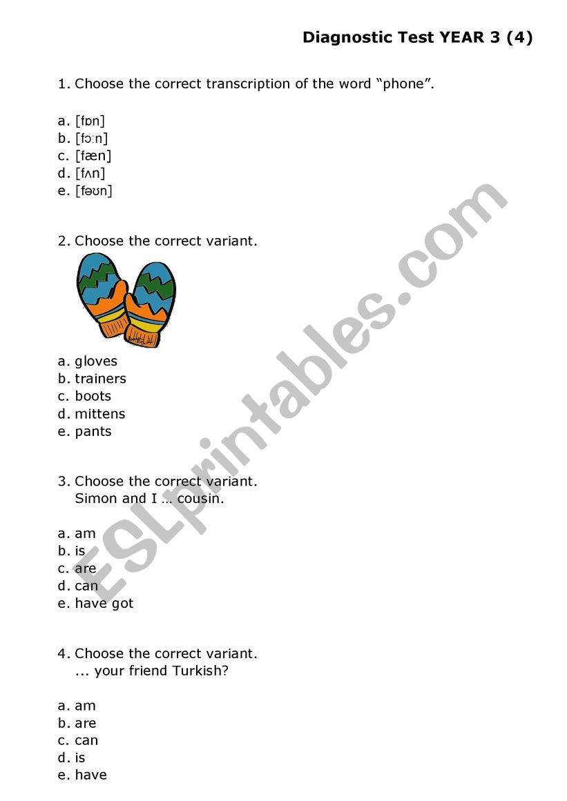 Multiple Choice Test Grade 3 worksheet