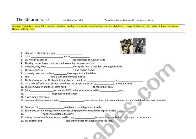 The Iditarod race worksheet