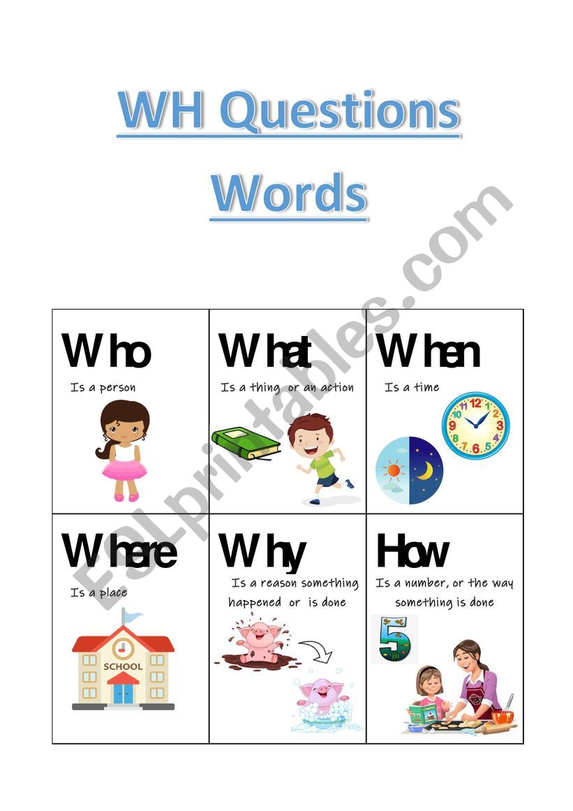 Wh Question Words worksheet