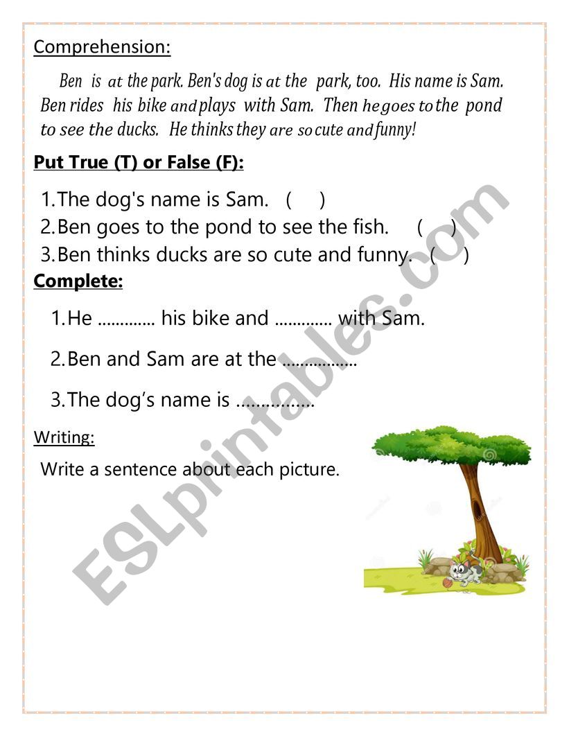 comprehension passages  worksheet