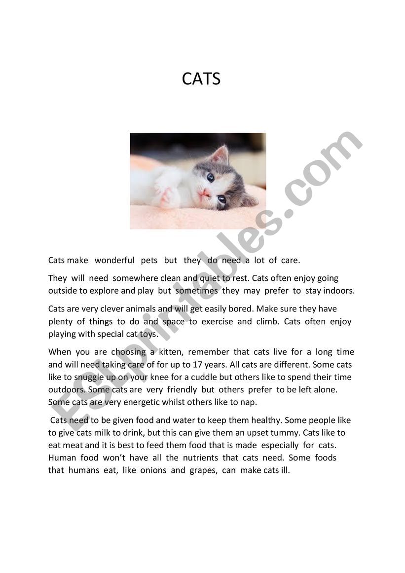 Cats - ESL worksheet by FRIEDA76