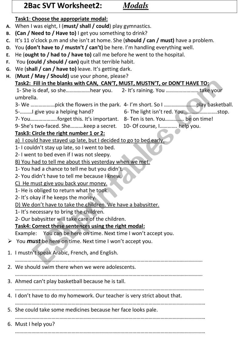 modal verbs worksheet