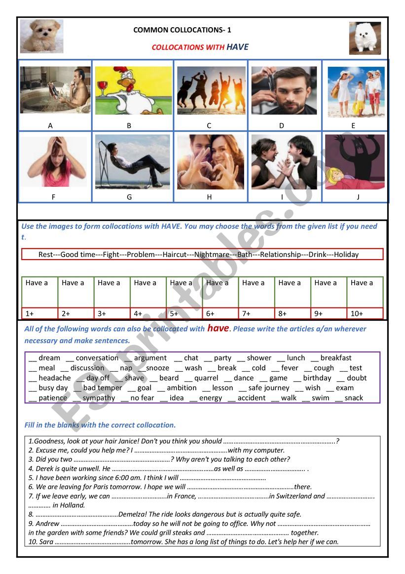 COMMON COLLOCATIONS WITH HAVE worksheet