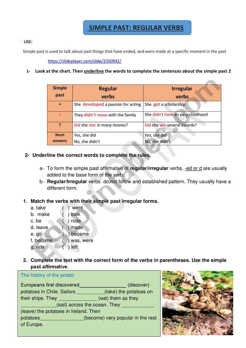 PAST SIMPLE: REGULAR VERBS worksheet