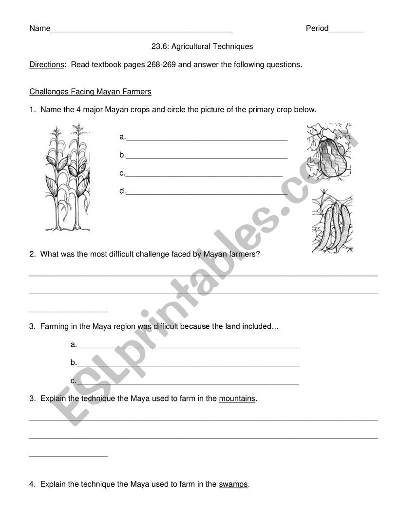 The Mayas worksheet