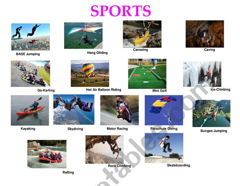 SPORTS worksheet