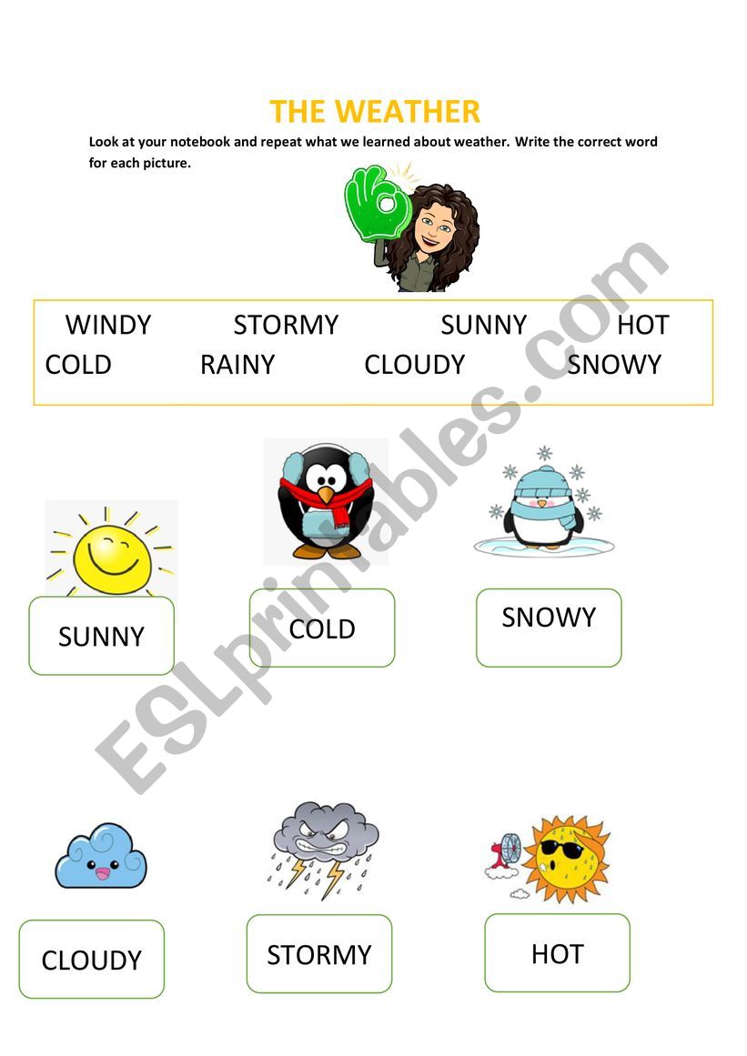 Weather worksheet