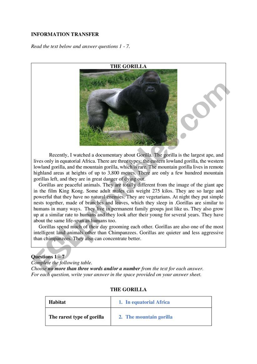 THE GORILLA + KEY ANSWERS worksheet