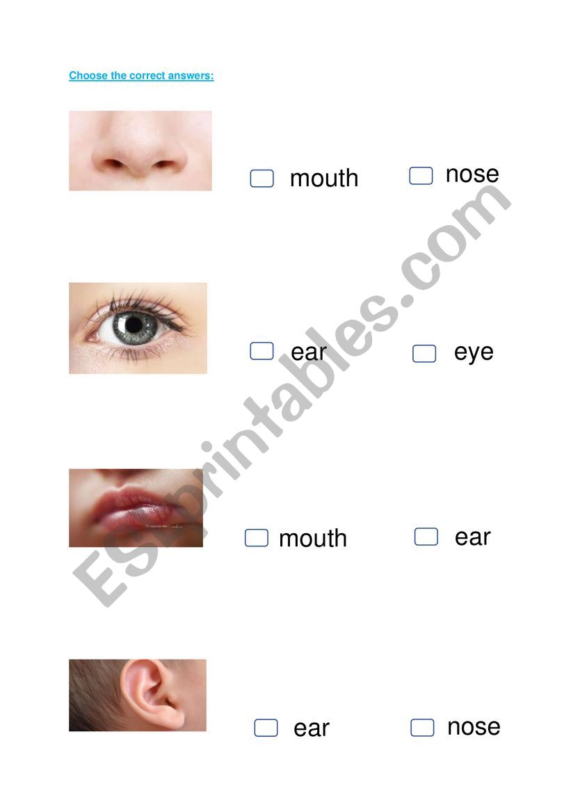 body parts worksheet
