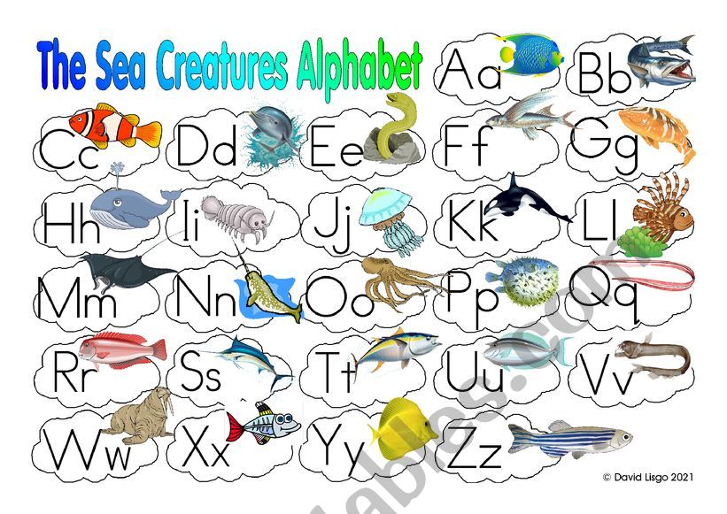 The Sea Creatures Alphabet with key
