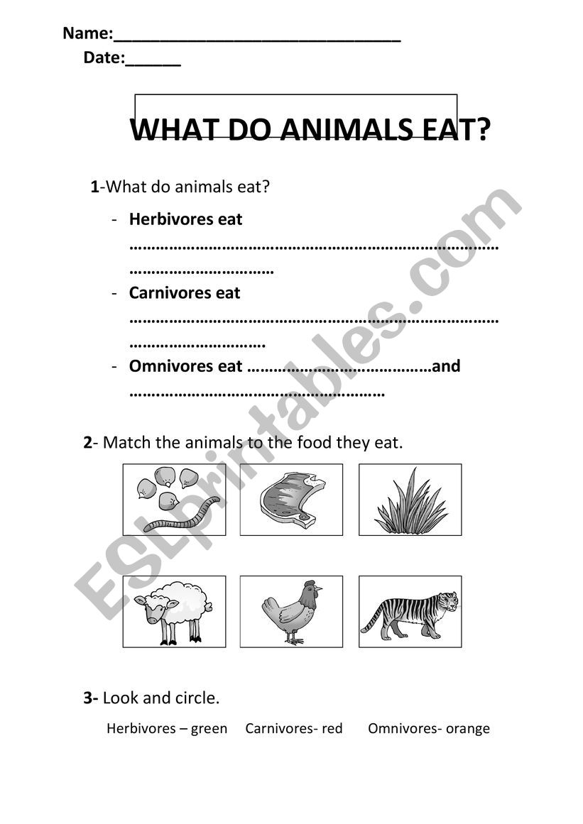 What do animals eat? - ESL worksheet by MariaBer45