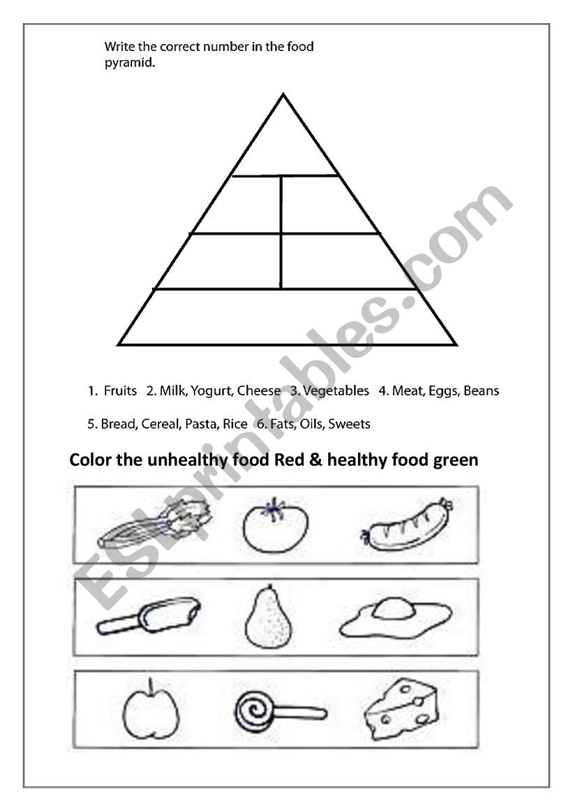 theme transport quiz worksheet