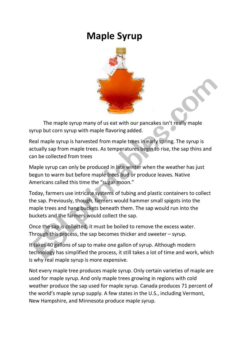 All about Maple Syrup worksheet