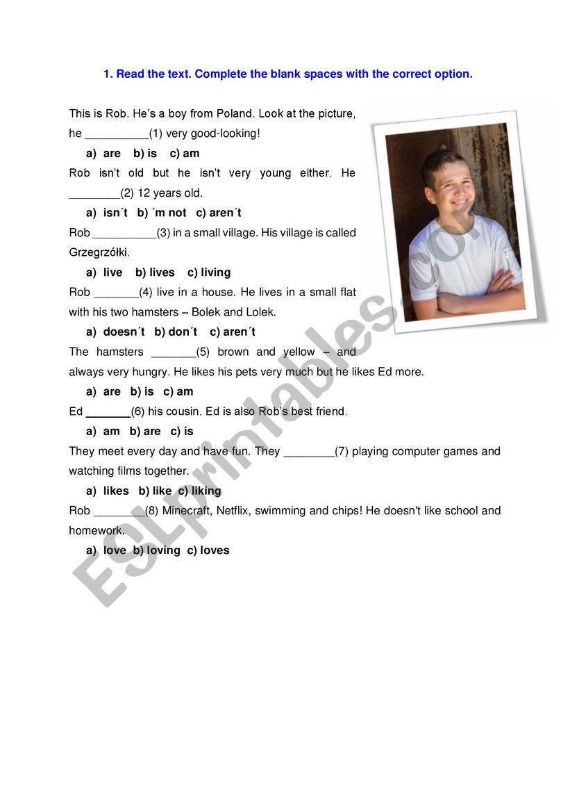 Present Simple worksheet