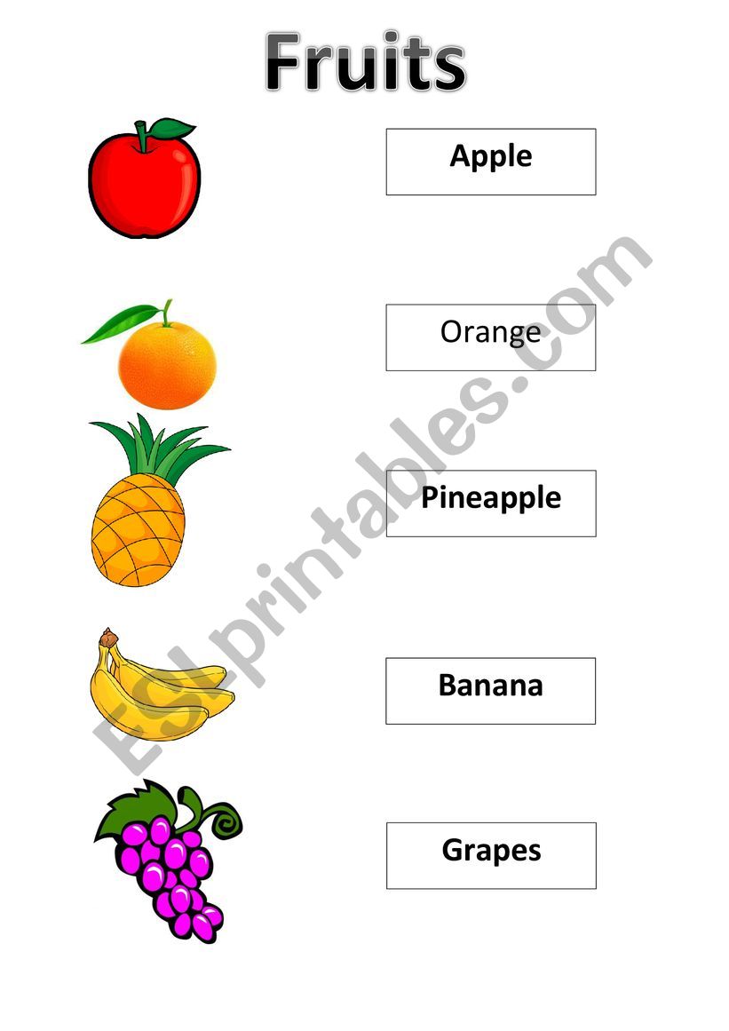 Fruits worksheet