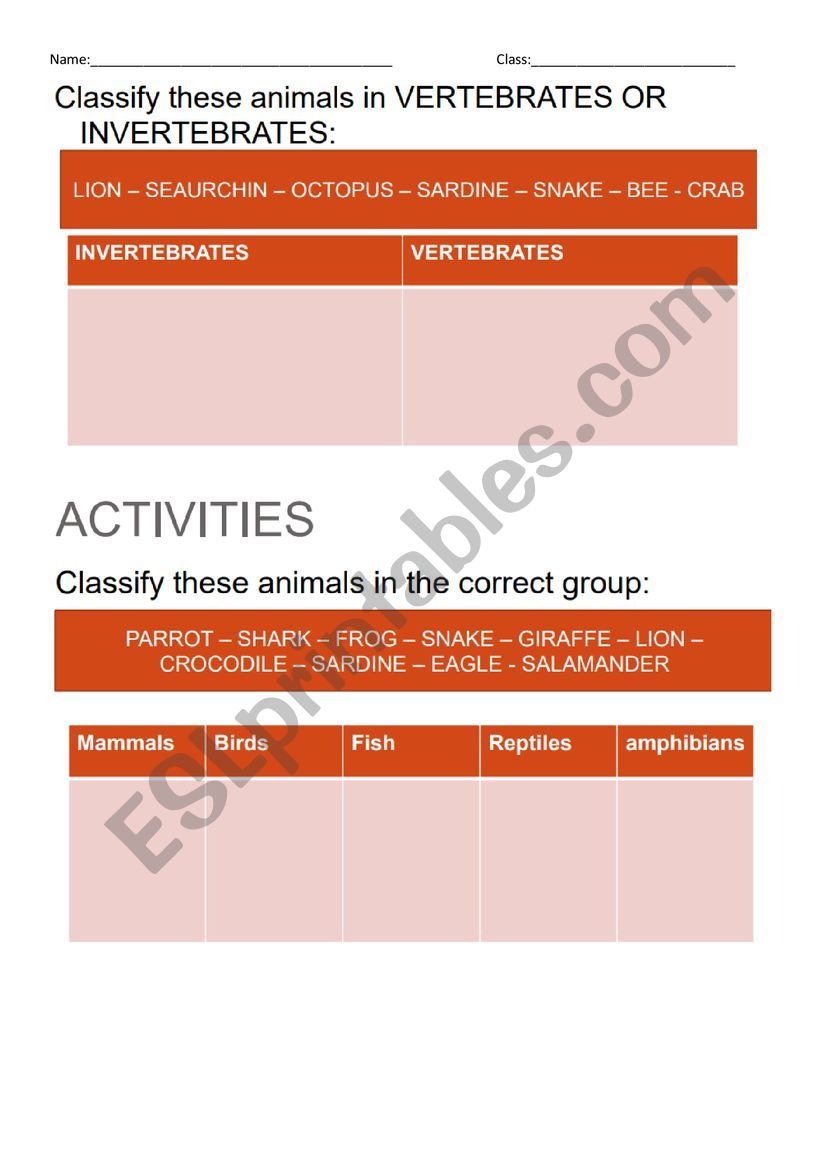 animal classification worksheet