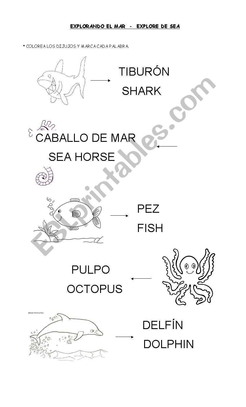 Explore the Sea worksheet