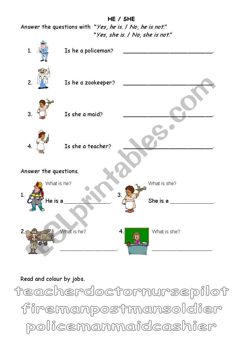 He or She worksheet