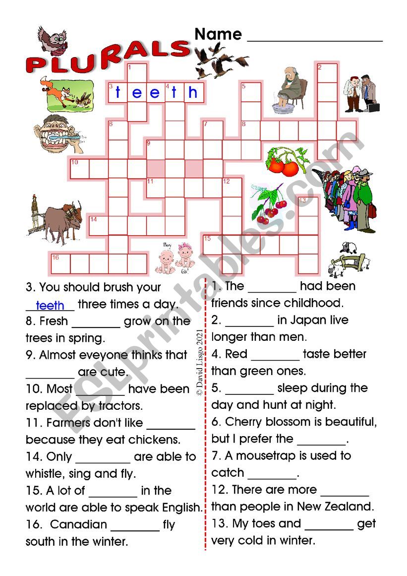 Plurals Crossword and sentences completion puzzle with answer key