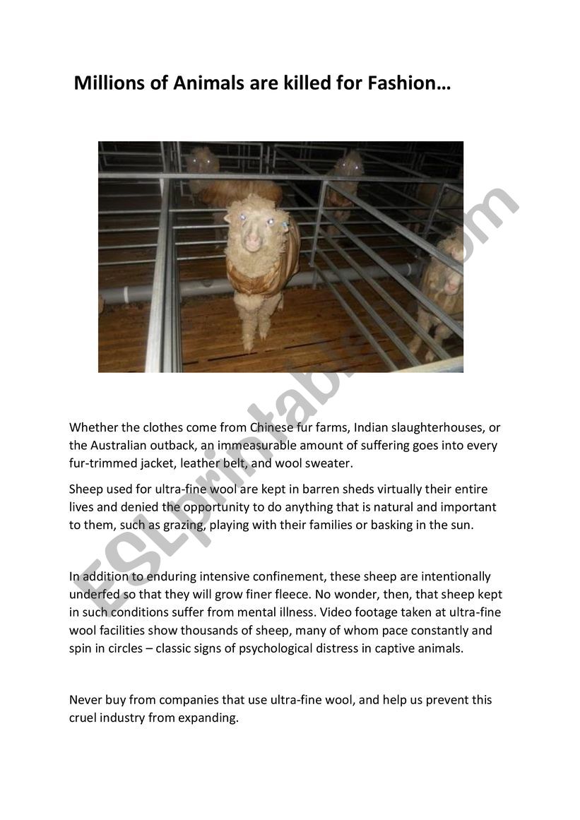 Millions of Animals are Killed for Fashion