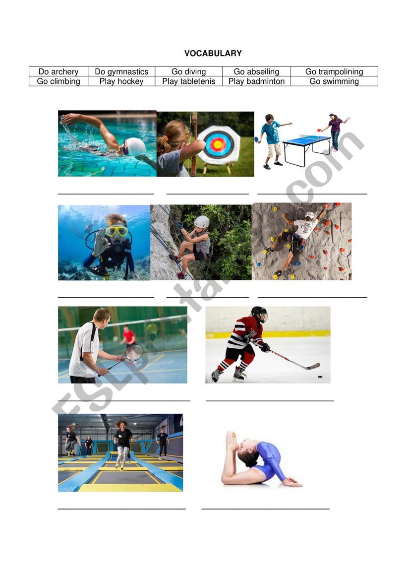 Vocabulary Sports worksheet