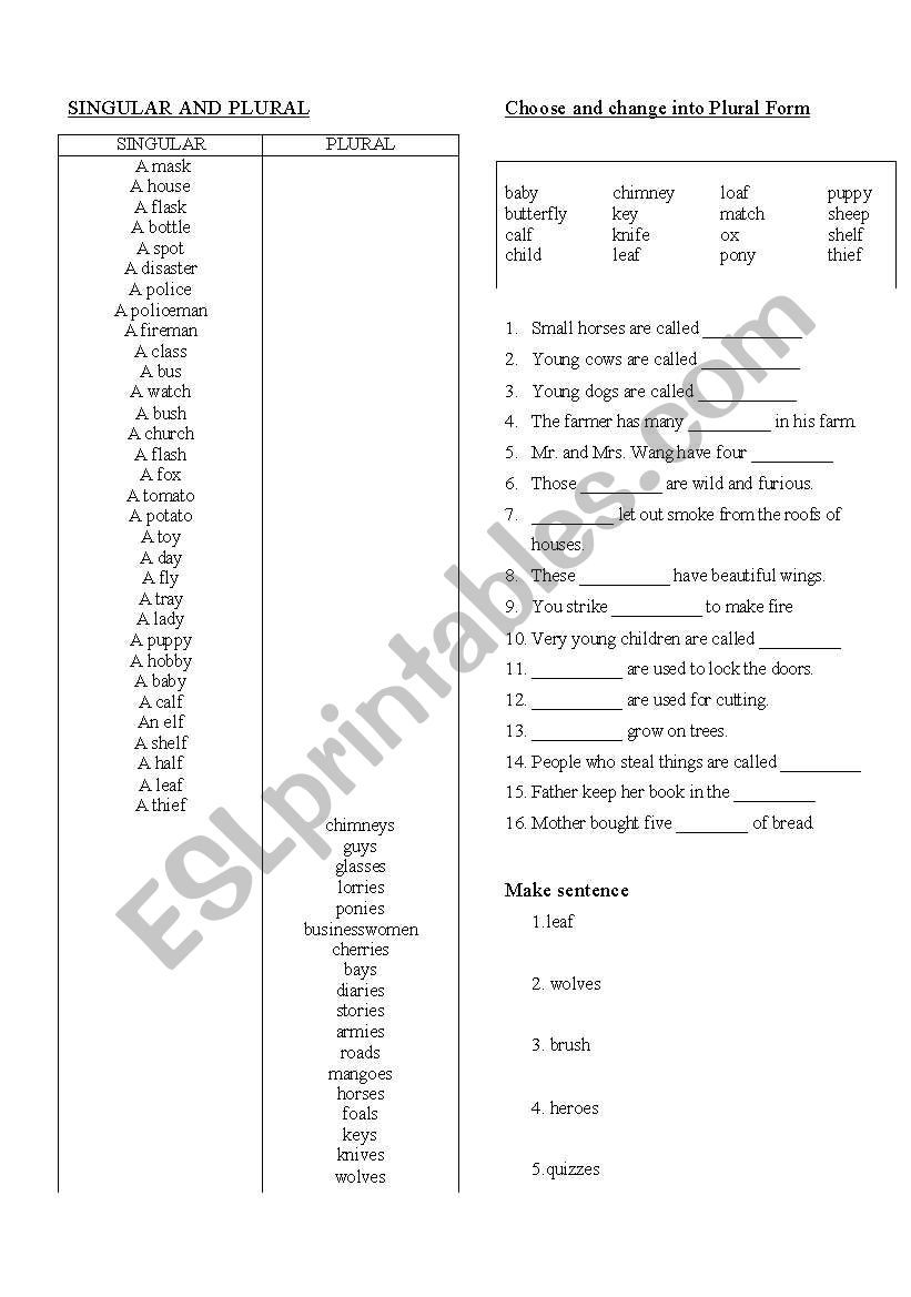 Singular and Plural worksheet exercise