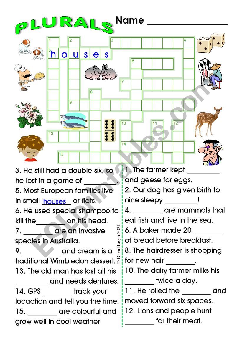 Plurals Crossword and Sentence Completion Puzzle with Key
