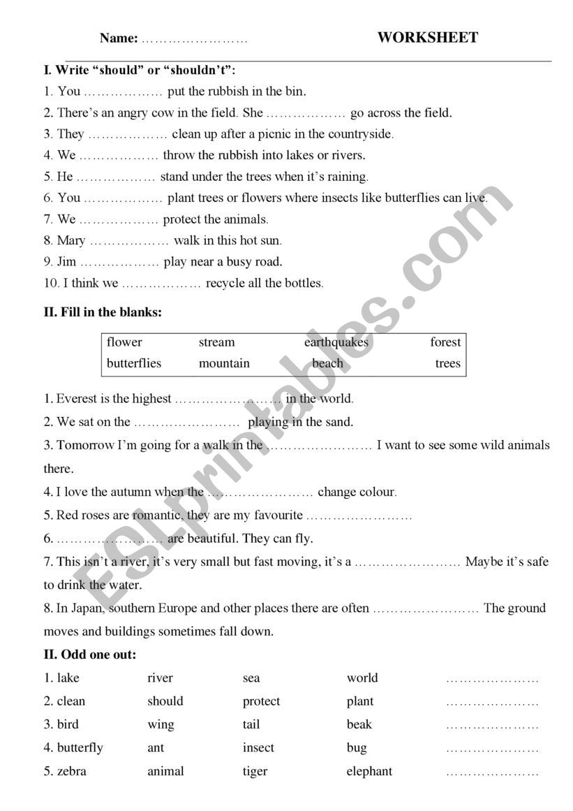 Should or Shouldnï¿½t 2 worksheet