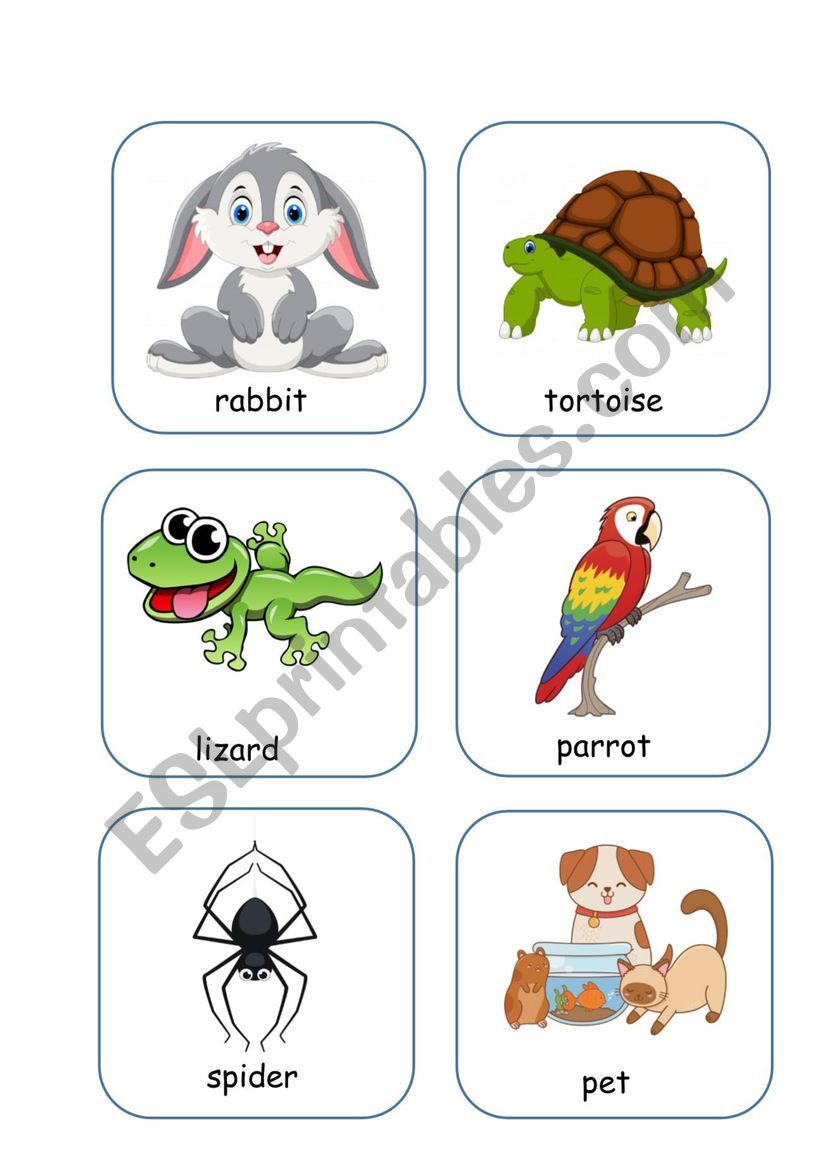 ANIMAL FLASHCARDS - Pets worksheet