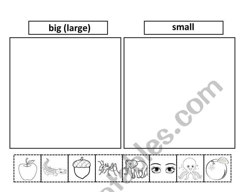 BIG AND SMALL worksheet