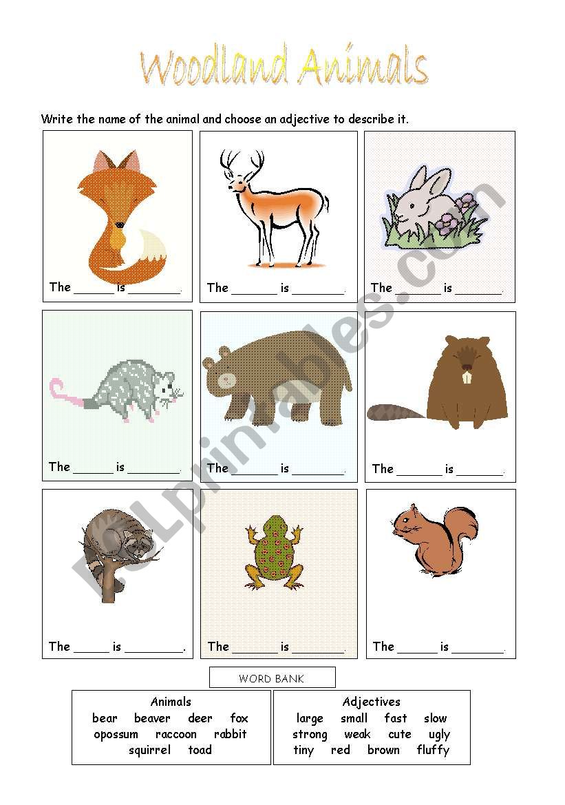 Woodland Animals worksheet