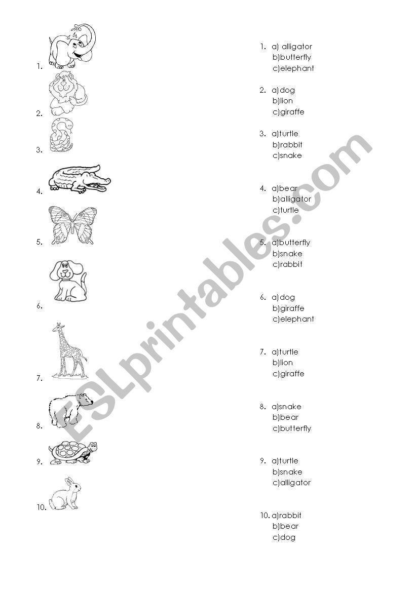 coloring and multiple choice for animals