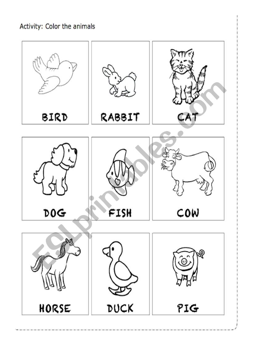 Animals worksheet