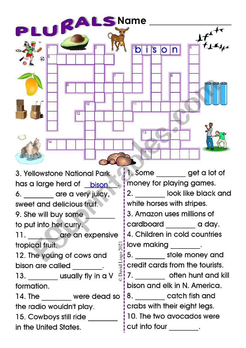 Plurals Crossword and Sentence Completion Puzzle with Key  