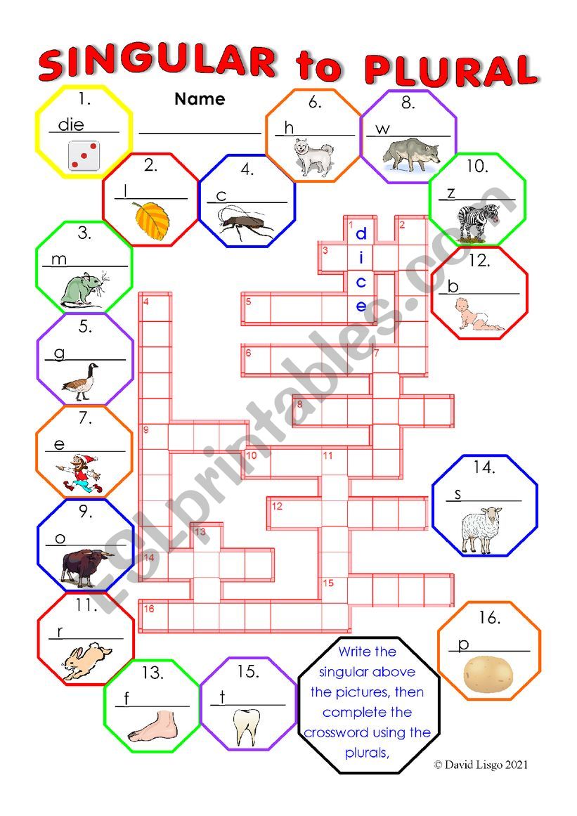 Singular to Plural Crossword with Key