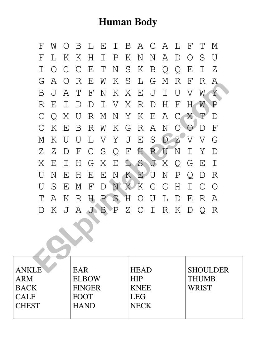 Word Search Your Body worksheet