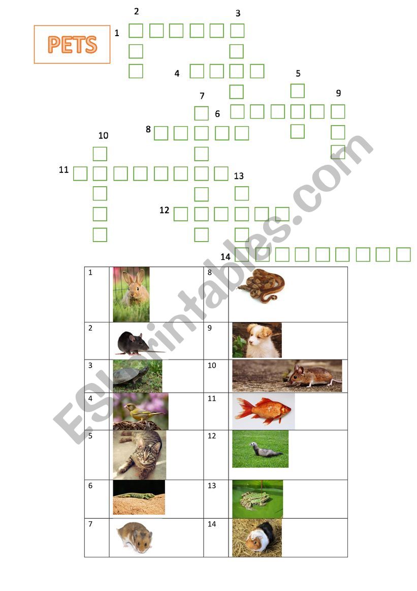 Crosswords pets worksheet