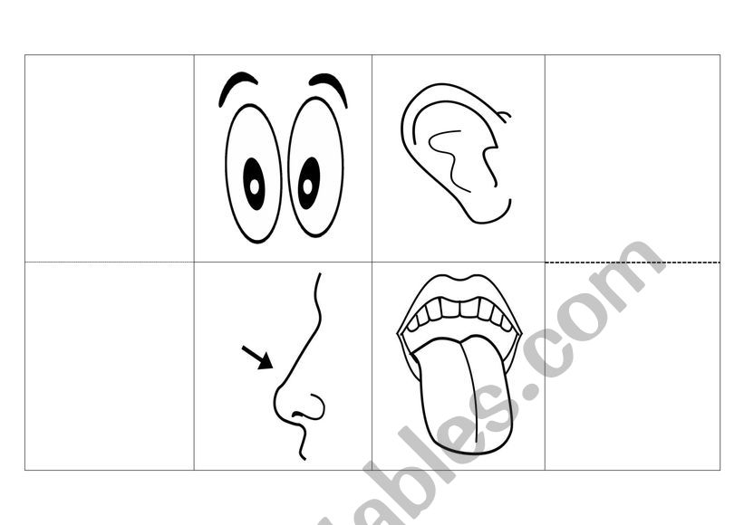 Body Parts Dictionary worksheet
